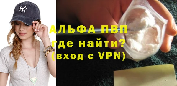 молекула духа Снежногорск