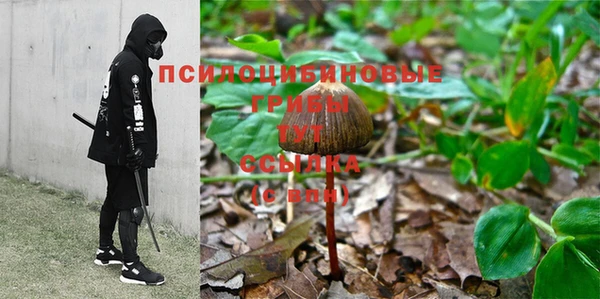 молекула духа Снежногорск