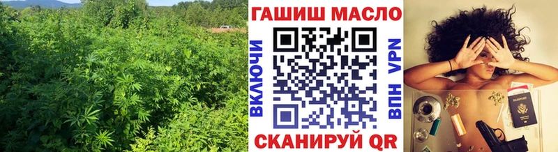 ТГК жижа  купить закладку  Волхов 