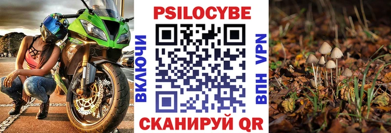 купить   Волхов  Галлюциногенные грибы ЛСД 